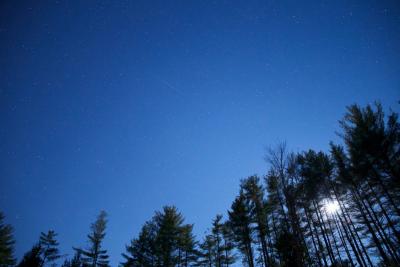 night-sky-stars-trees-59030