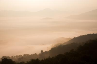 dawn-landscape-mountains-forest-large