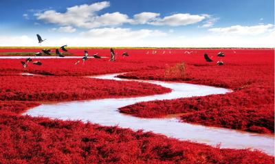 17-Red-Beach-China