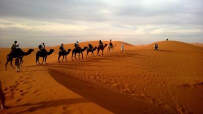 caravan-desert-safari-dune-53537-large