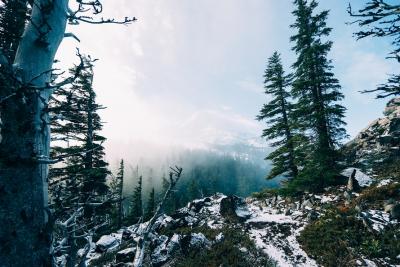 snow-mountains-forest-winter-large