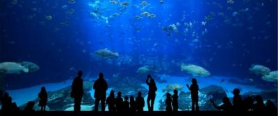 o-AQUA-FLORYA-ISTANBUL-570_128659