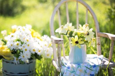 summer-still-life-daisies-yellow-large