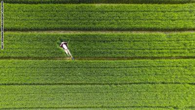 151013112914-dronestagram-grass-china-super-169_169134