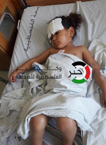 بالصور: الرضيعة "وسام أبو عرار".. كتلة صمت بعد مشهد استشهاد والدتها