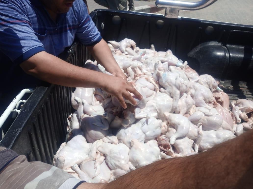 إتلاف نصف طن من اللحوم الفاسدة في غزّة