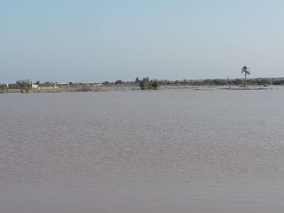 الاحتلال يٌغرق مئات المحاصيل الزراعية شرق مدينة غزّة