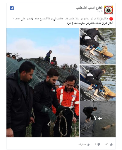 شاهد: الدفاع المدني في "غزة" ينقذ "كلبين" علقا في بركة ماء