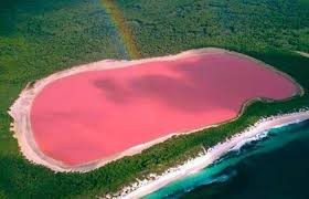شلهدول: بحيرة شهيرة في الهند تتحول إلى "اللون الوردي".. ما السبب؟