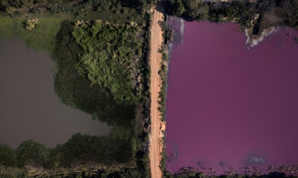 شاهدوا: تحول بحيرة إلى اللون "الأرجواني" من جانب واحد فقط يحير العلماء