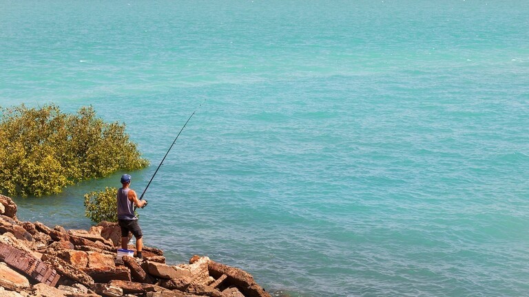 شاهدوا: سمكة تقتل "صيادا" شمال أستراليا
