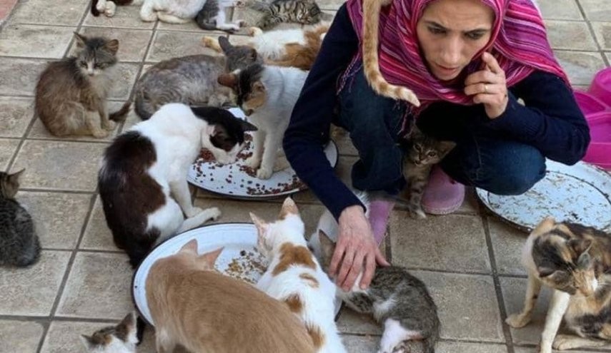 شاهدوا: تصفهم بـ"أبنائها" سيدة "مغربية" تحول منزلها إلى مأوى للقطط