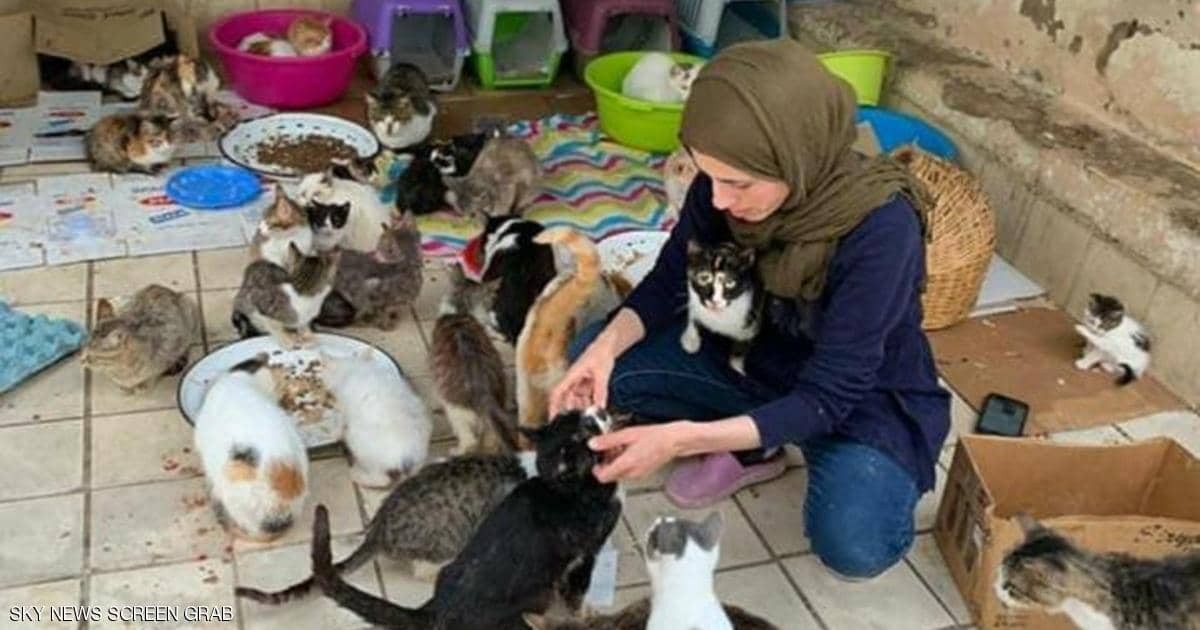 شاهدوا: تصفهم بـ"أبنائها" سيدة "مغربية" تحول منزلها إلى مأوى للقطط