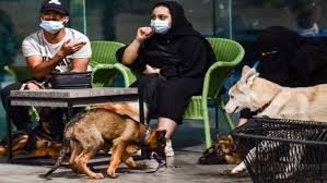 شاهدوا: افتتاح أول مقهى لـ"عشاق الكلاب" بالسعودية