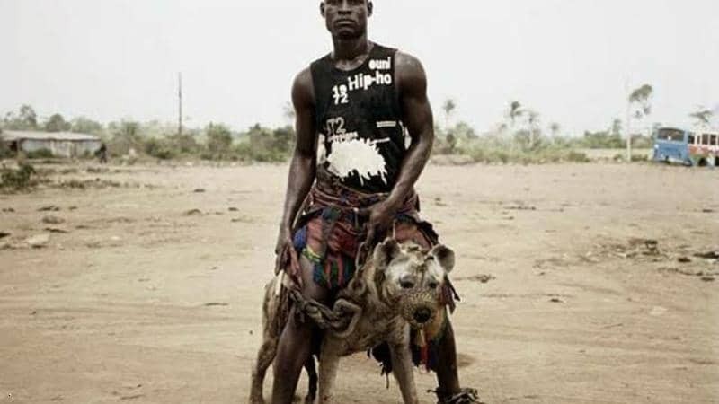 بالصور | قصة علاقة مع أشرس حيوان لـ"رجال الضباع" في نيجيريا