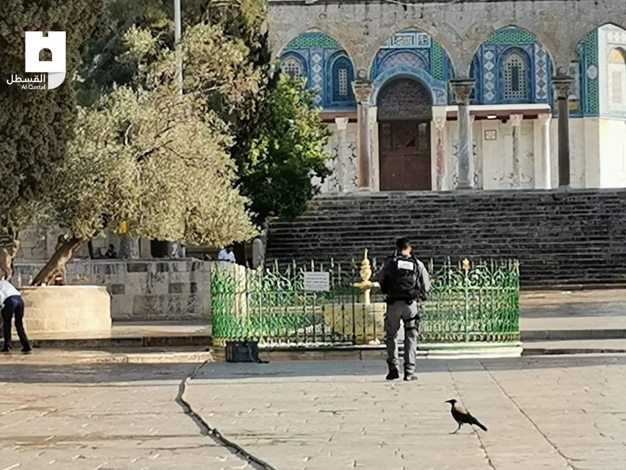 عشرات المستوطنين برفقة شرطة الاحتلال يقتحمون باحات المسجد الأقصى صبيحة يوم عرفة