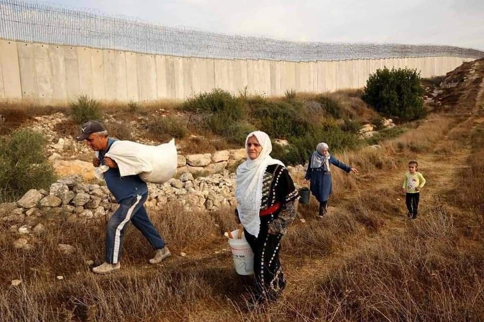 الاحتلال يمنع المزارعين من الوصول لأراضيهم في قلقيلية والخليل
