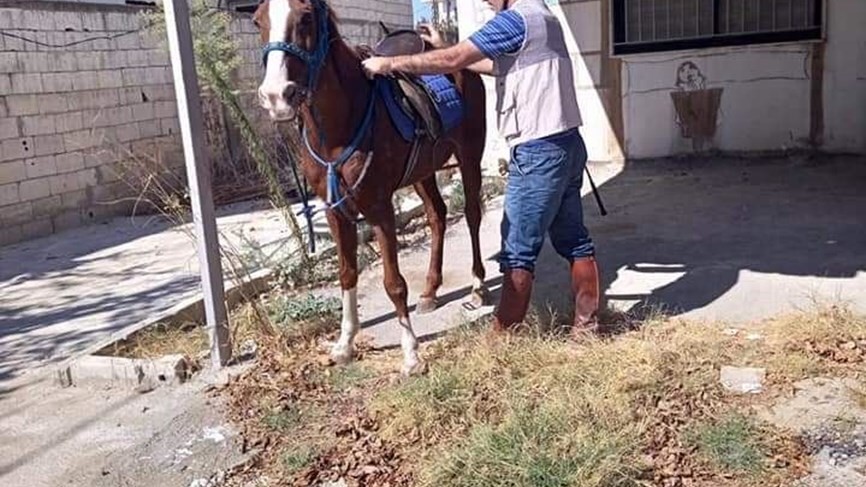 معلم لبناني يستعمل "حصان" للوصول إلى المدرسة JmdJ8