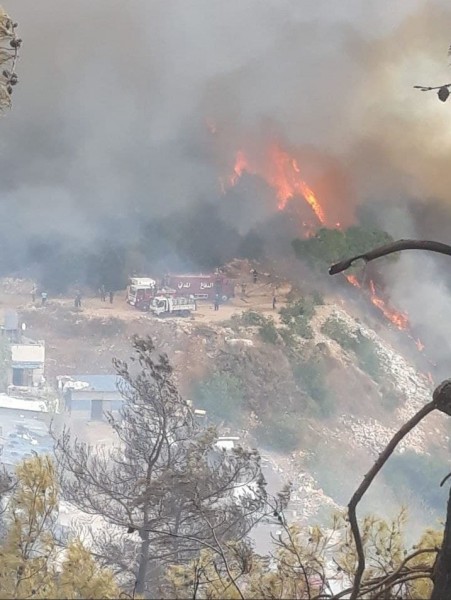 شاهد.. اندلاع حريق كبير في جبل لبنان