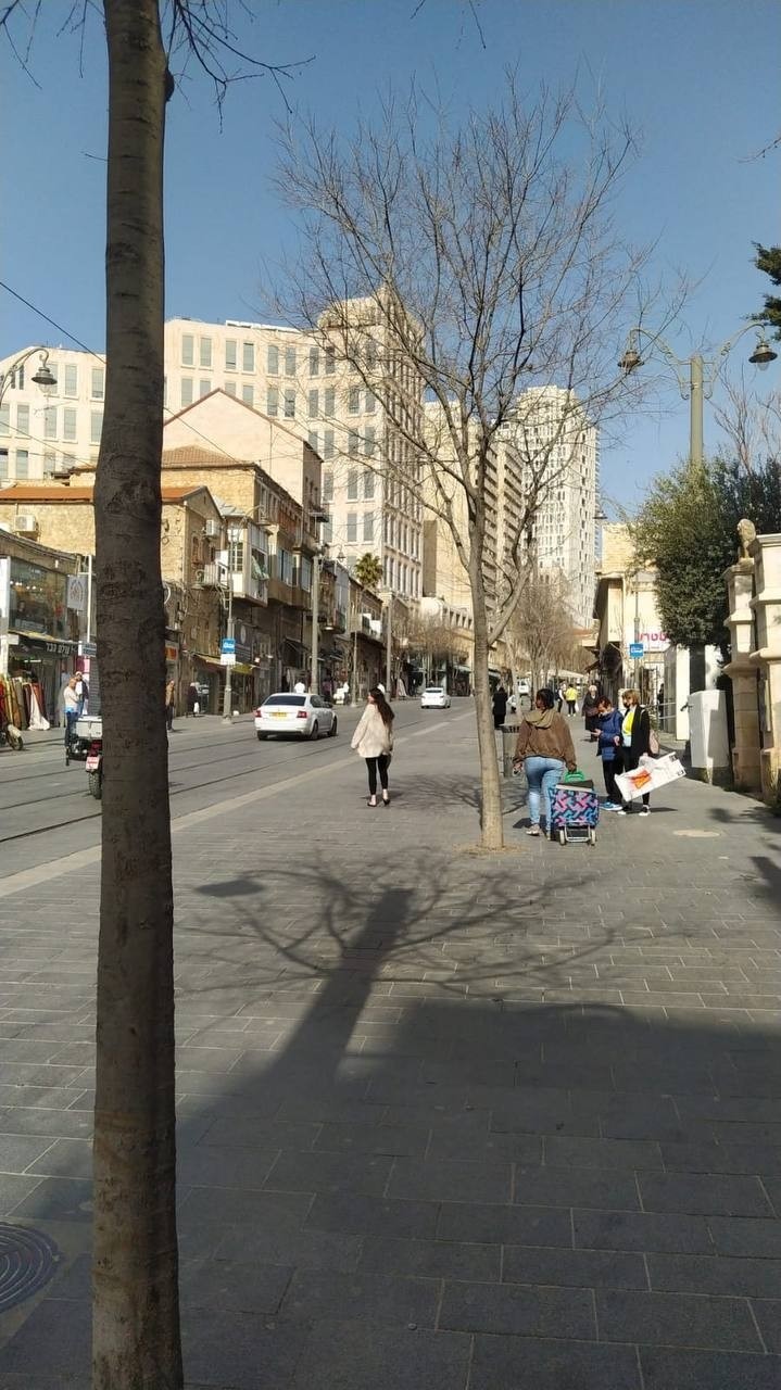 بالفيديو والصور: الاحتلال يعتقل شابين بزعم محاولتهما تنفيذ عملية طعن في القدس