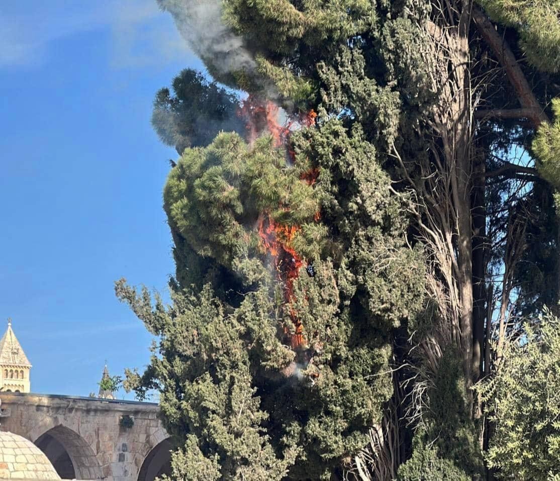 شاهد: طواقم الإطفاء تتمكن من إخماد حريق في أحد أشجار المسجد الأقصى