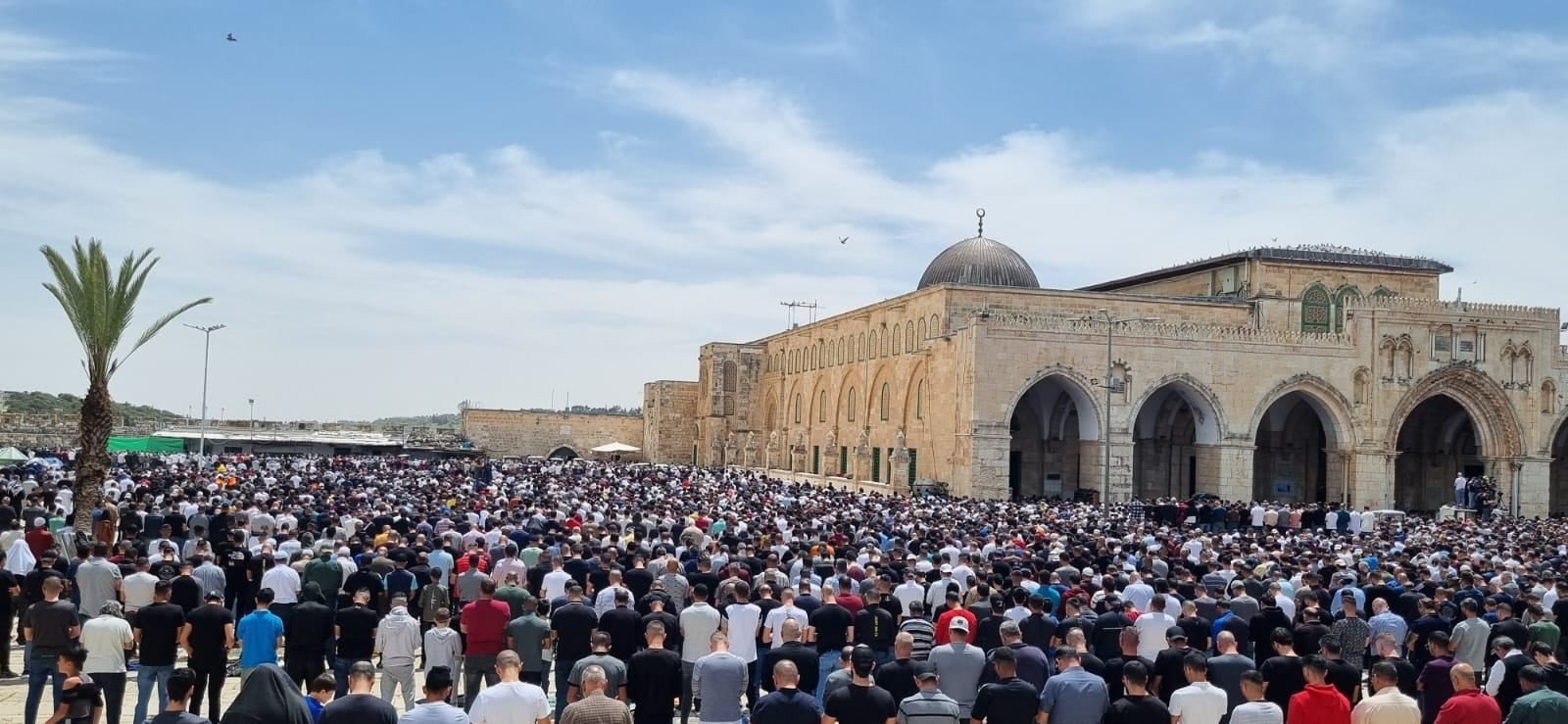 بالصور: عشرات آلاف المصلين يؤدّون صلاة الجمعة في المسجد الأقصى