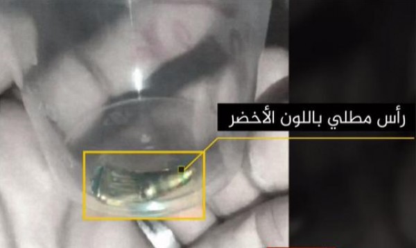 بالصور: "الجزيرة" تنشر تفاصيل جديدة عن الرصاصة التي أصابت شيرين أبو عاقلة