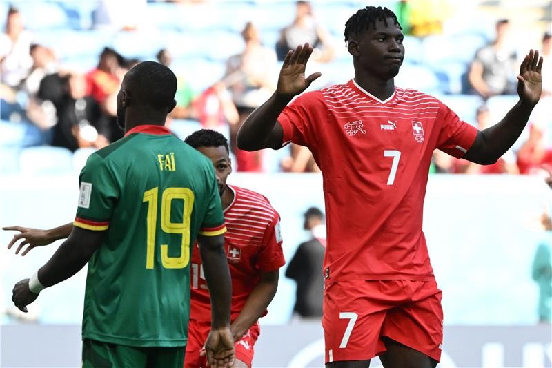 بالصور : سويسرا تهزم الكامرون بهدف لاعب جذوره كاميرونية