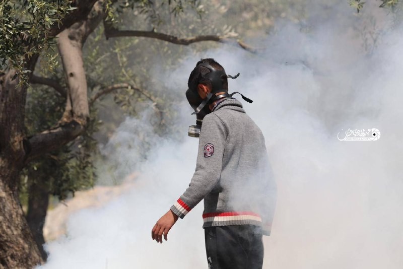 عشرات الإصابات بالرصاص والاختناق خلال قمع الاحتلال المشاركين في مسيرة بيت دجن الأسبوعية