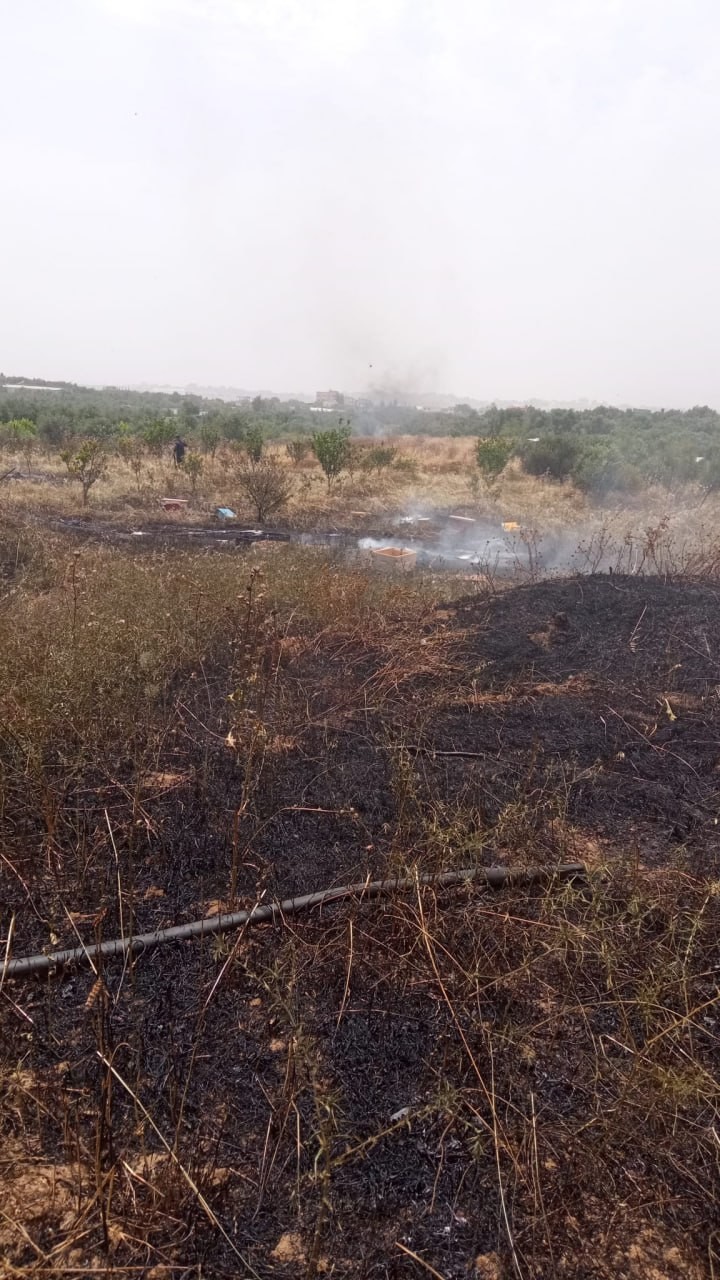 بالصور: الدفاع المدني يُخمد حريقًا اندلع بأرض زراعية شمال غزة
