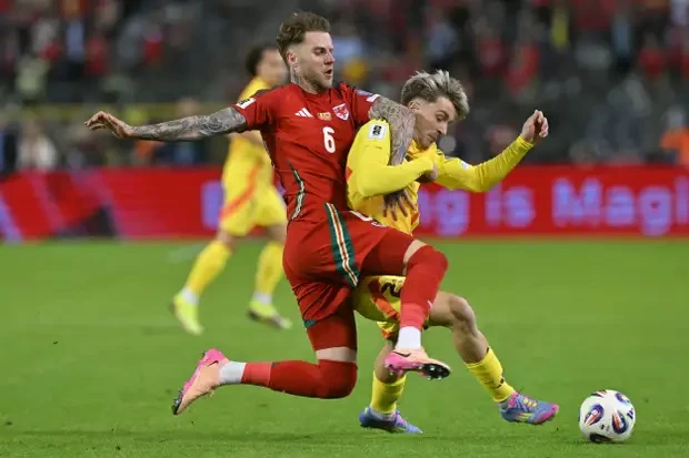 بالصور : بلجيكا تتذوق طعم الانتصارات بفوز درامي على ويلز