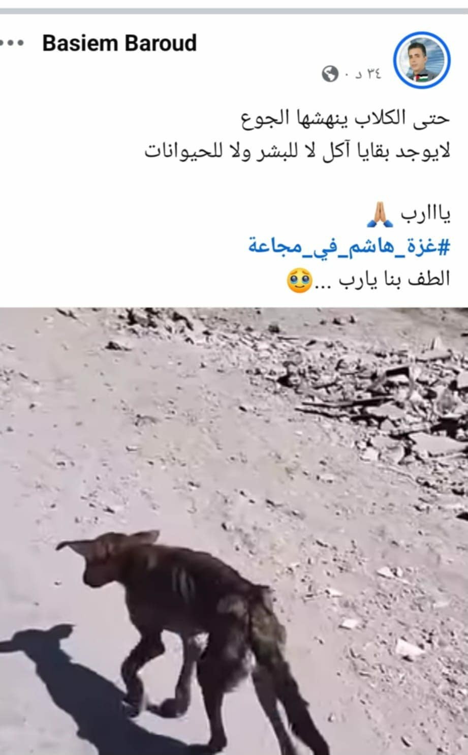 تقرير: غزة.. بطون خاوية وأجساد هزيلة تبحث عن الطعام واحتلال لا يستثني أحد