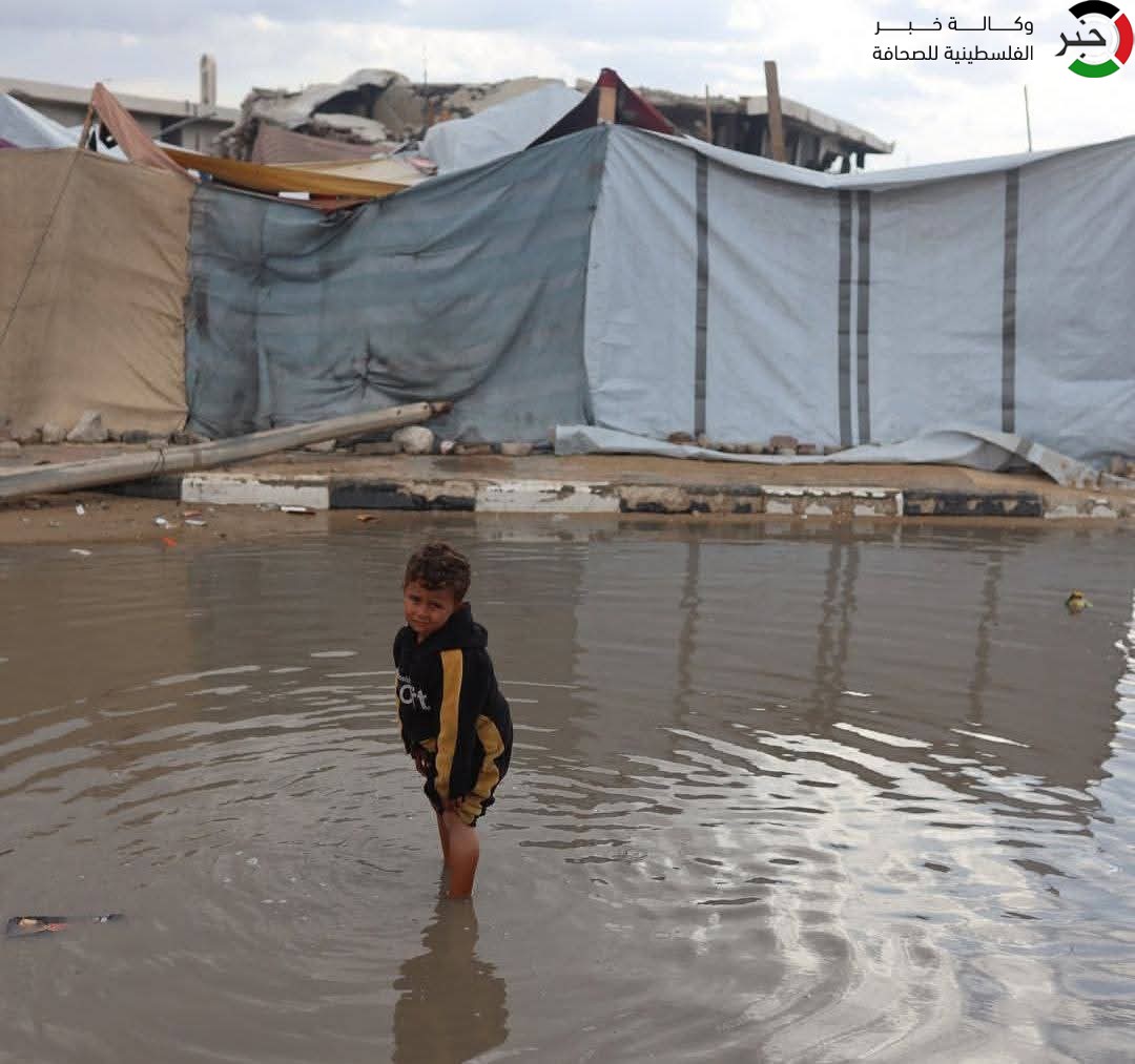 بالفيديو والصور: المواطنون في غزة يطلقون نداء استغاثة لحمايتهم من الشتاء وكابوسه المنتظر