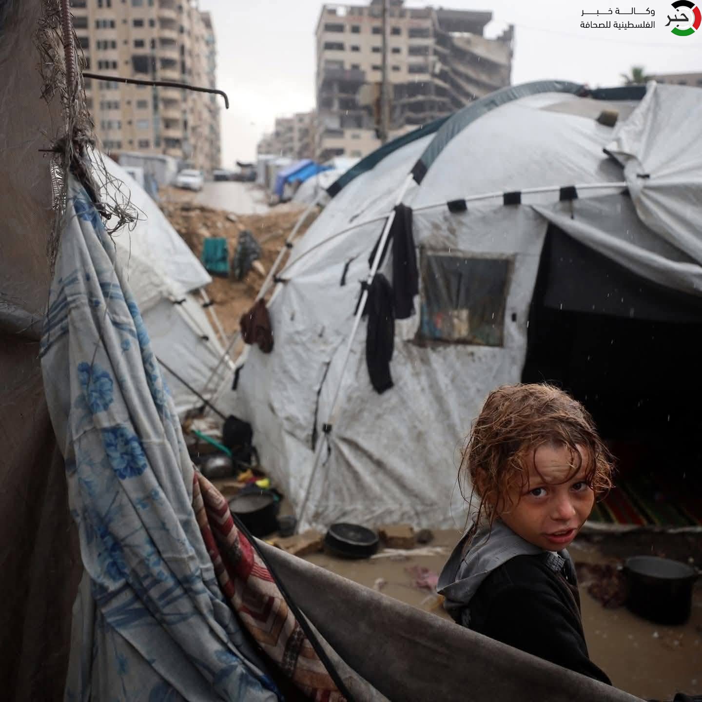 بالفيديو والصور: المواطنون في غزة يطلقون نداء استغاثة لحمايتهم من الشتاء وكابوسه المنتظر